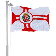 Um campo de blau com círculo anelar de prata, onde está inscrito de sinople, tendo no centro a figura de um pinheiro de ouro, como símbolo figurativo. Bandeira Do Municipio De Sao Paulo Banderart