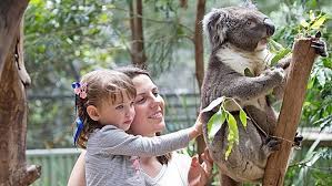 We visited many wildlife areas and zoos in australia and we loved this smaller zoo, where you can get really close to the animals and touch many too. Best Animal Activities Petting Zoos And Places To Pat Animals For Ellaslist