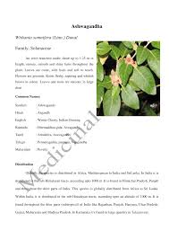 Asian ginseng is one of the most popular herbal supplements in the world. Https Karunadu Karnataka Gov In Kampa Documents Ashwagandha Pdf