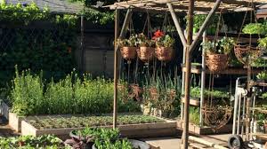 ¡encuentra tu casa en idealista! La Familia Que Produce Miles De Kilos De Comida En El Patio De Su Casa Bbc News Mundo