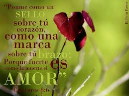 Cantares 8 6 Bible Guide Verses Prayers