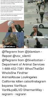 Résultat de recherche d'images pour "dragging cat leash"