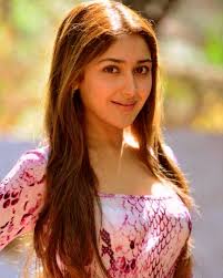 Despite the trolls, arya being 38 years old and sayyeshaa being 21 years old, tied the knot in march 2019. My Mother Is Upset With Salman Khan Linkup Reports Sayyeshaa Saigal