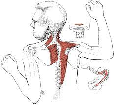 Check spelling or type a new query. Pin On Infographics Tips Info