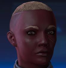 Michaela Shepard, Colonist/War Hero, Infiltrator : r/ShareYourSheps