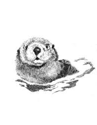 Otter Art Little Swimmer Otter Drawing Otter Art Otter Drawing Otter Illustration