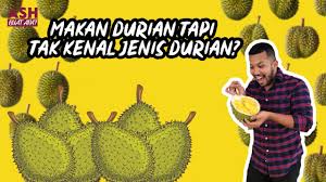 Durian premium ini berasal dari tanah merah, kelantan dan ia merupakan kegemaran import ke china, amerika syarikat. Cara Nak Kenal Jenis Jenis Durian Youtube