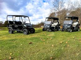 Image result for Dark Yellow Green 2025 Fleet