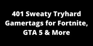 Sweaty fortnite names are one of the best choices for gamers. 401 Sweaty Tryhard Names For Fortnite Gta 5 More