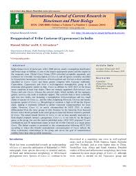 Image result for Carex cyrtosaccus