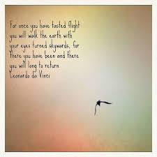 For Once You Have Da Vinci Quotes Flight Quotes Travel Phrases