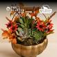 Pumpkin Succulent Arrangement Workshop — WHBC event image