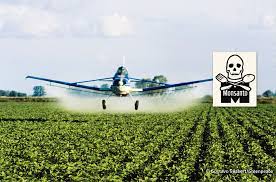 The monsanto company (/mɒnˈsæntoʊ/) was an american agrochemical and agricultural biotechnology corporation founded in 1901 and headquartered in creve coeur, missouri. Stop Monsanto Soy Rainforest Rescue