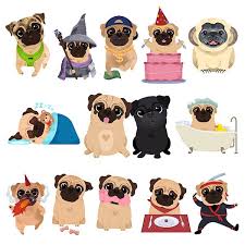 Cachorros Pug Cartoon Pug Illustration Cute Pugs
