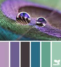 peacock hues design seeds color palate color swatches