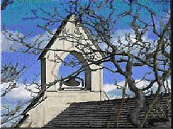 Image result for Monothecium