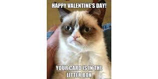 Valentine S Day Memes Via Http Www Quickmeme Com Meme 3so4a8 Funny Grumpy Cat Memes Grumpy Cat Grumpy Cat Meme