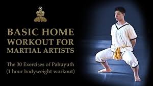 Grundlagen des shaolin kung fu. Kampfkunst Training Zuhause 30 Ubungen Online Pahuyuth