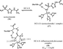 Image result for Acetazolamide