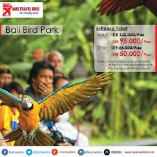 Tiket Bali Bird Park Hanya Rp 95 000 Untuk Dewasa Dan Rp 50 000 Untuk Anak Anak Pesan Sekarang Di 021 55780317 Bali Balibirdpa Bali Untuk Anak Anak Tiket