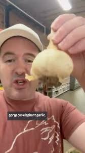 An incredible afternoon tasting the best Ontario-grown products at the  @torontogarlicfestival ! #Toronto