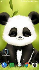 Panda Hd Wallpaper For Android Apk Download