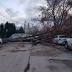 Top wind gusts across N.J. reach 70 mph