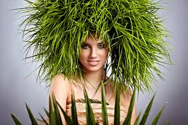 This creates a protective layer between your strands and the chemicals in the. What Turns Hair Green In The Swimming Pool Gogglesnmore