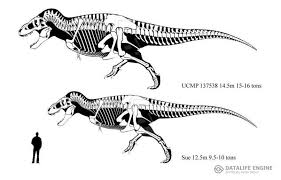 Don't laugh at the expense of others. Tyrannosaurus Rex