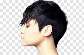 Punk hairstyles for guys are more than a fashion statement, they're a symbol of a subculture. Hairstyle Bangs Long Hair Punk Rock Nose Transparent Png