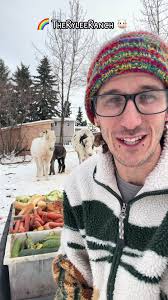 Meet Abigail the Cow at The Rylee Ranch