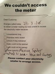 Valid Explanation By Energex Brisbane Australia Funny Funny Pictures Meanwhile In Australia