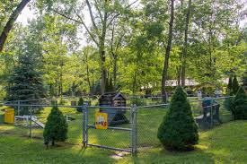 Shaded Kamp K9 Area At The Herkimer Diamond Koa Resort Koa Herkimer Diamond Herkimer