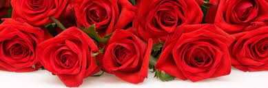 (i use green garlic stems the same way.) related: About Us Spread Love Florist