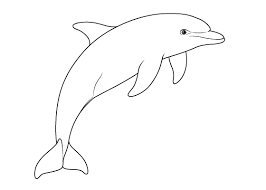 Check spelling or type a new query. Easy Drawing Tips Blog