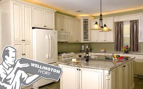 kitchen cabinets in lincoln park