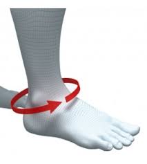 Cavigliera Protezione Malleolo In Neoprene Taglia L