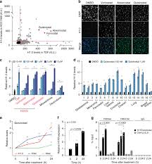 The numbers after the letters indicate how big the tumor is and how far it has spread. Selective Inhibition Of Cancer Cell Self Renewal Through A Quisinostat Histone H1 0 Axis Nature Communications