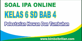 Check spelling or type a new query. Soal Ipa Online Kelas 6 Sd Bab 4 Pelestarian Hewan Dan Tumbuhan Langsung Ada Nilainya Bimbel Brilian