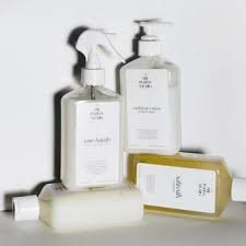 Image result for Maesa