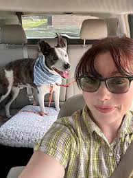 Senior lap cat for adoption, foster Fluff