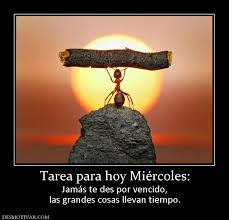 Desmotivaciones Tarea Para Hoy Miercoles Jamas Te Des Por Vencido Las Grandes Cosas Llevan Tiempo Weird Facts Mind Blown Unbelievable Facts