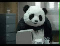 Simple and easy to use a touch to connect. Top 30 Panda Computer Gifs Find The Best Gif On Gfycat