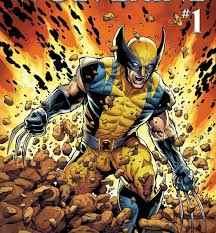 Image result for wolverine