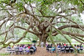 The Story Of Our Big Day The Love Nest Dream Of Getting Married Big Day Tree Wedding