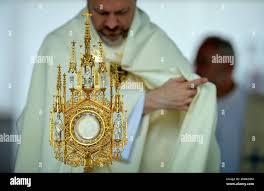 The Rev. Matt Baum, pastor of St. John Gualbert Cathedral, leads an  adoration of the Blessed Sacrament ceremony at Central Park in downtown  Johnstown, Pa.,