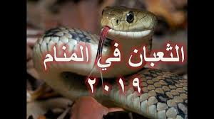 تفسير رؤية الافعى في المنام. Ø§Ù„Ø§ÙØ¹Ù‰ Ø§Ù„Ø³ÙˆØ¯Ø§Ø¡ ÙÙŠ Ø§Ù„Ù…Ù†Ø§Ù… ØªÙØ³ÙŠØ± ØºØ±ÙŠØ¨ Ù„Ø±Ø¤ÙŠØ§ Ø§ÙØ¹Ù‰ Ø³ÙˆØ¯Ø§Ø¡ ÙØ§Ù„Ù…Ù†Ø§Ù… Ù‡Ù„ ØªØ¹Ù„Ù…