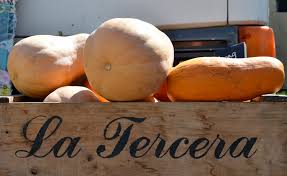 Sweet chestnut flavor, enormously productive. Market Report Winter Squash Offer Beauty Variety