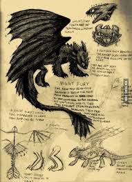 Thoothless Is Awesome How Train Your Dragon How To Train Dragon How To Train Your Dragon