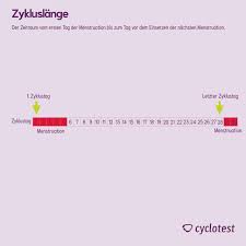 Zykluslange Berechnen Welche Schwankungen Sind Normal Cyclotest